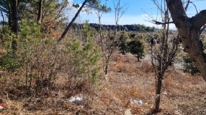 소재지18(토평동 2975-13) 전경2