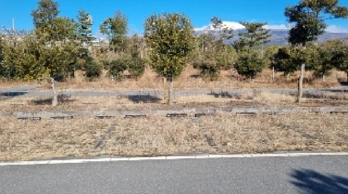 소재지19(토평동 2976-1) 전경2