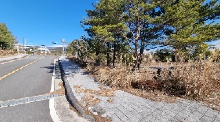 소재지2(토평동 2975-3) 전경