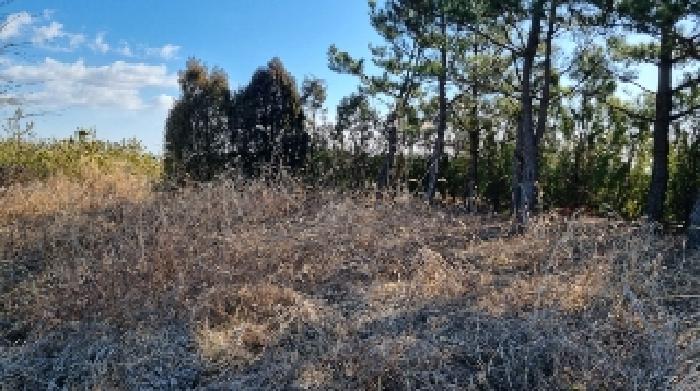 소재지6(토평동 2965-3) 전경