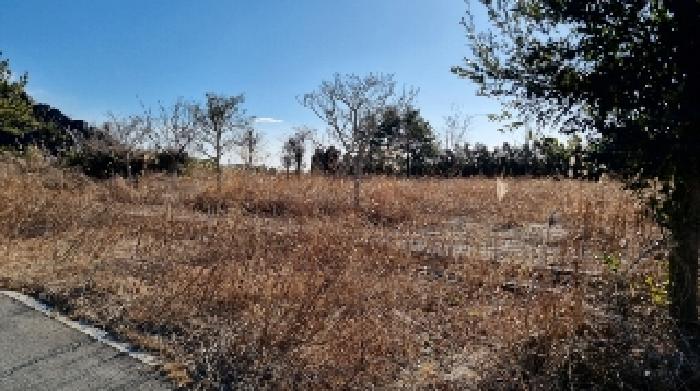 소재지9(토평동 2977-4) 전경1