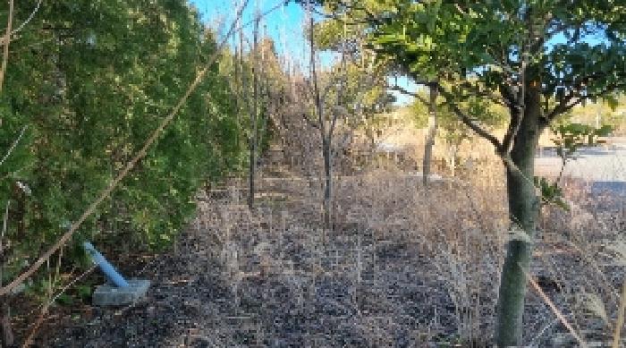 소재지12(토평동 2989-5) 전경