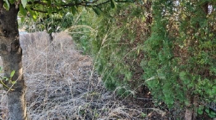 소재지13(토평동 2989-6) 전경