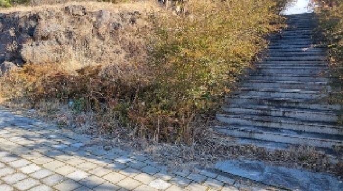 소재지14(토평동 2743-4) 전경