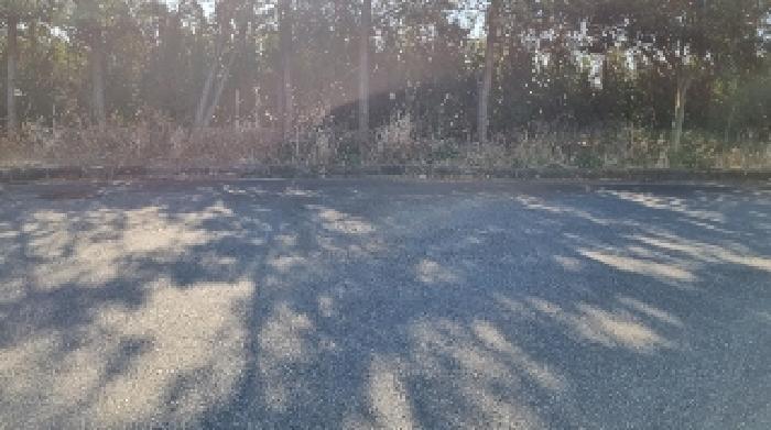 소재지15(토평동 2974-2) 전경