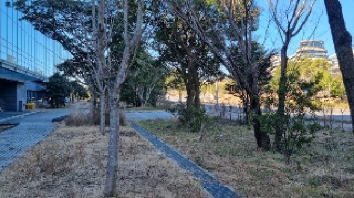 소재지5(토평동 2987-3) 전경