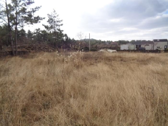 소재지 3. (협재리 400-3) 전경