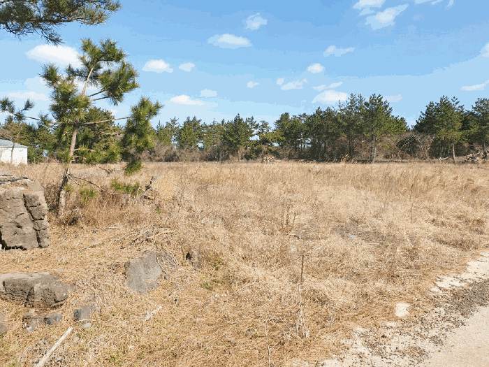 본건 전경 - 기호(1), (2)