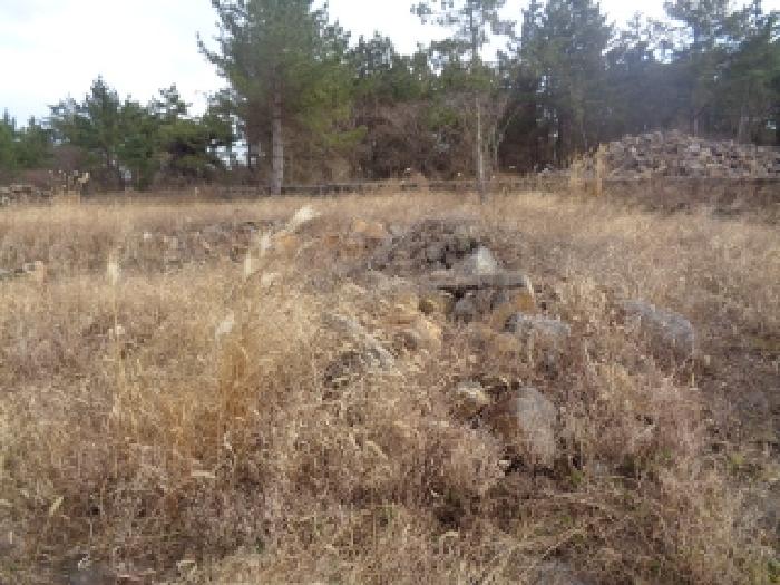 소재지 3. (협재리 400-3) 일부 지상 석재 사진