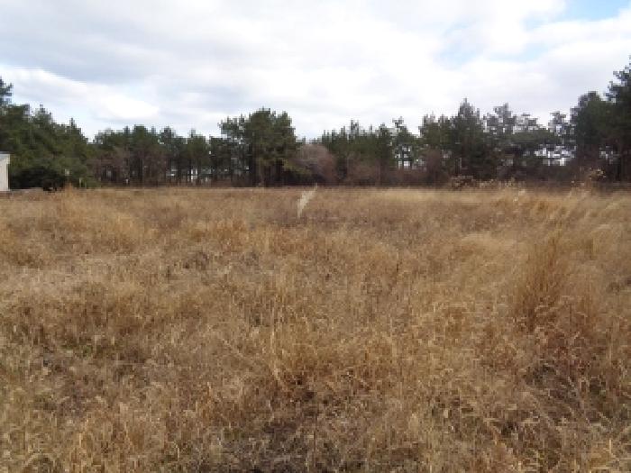 소재지 1. (협재리 400) 전경