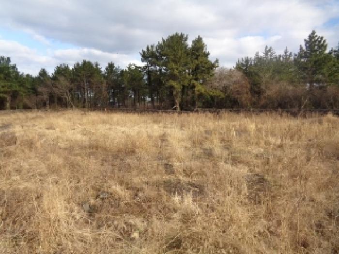 소재지 1. (협재리 400) 전경