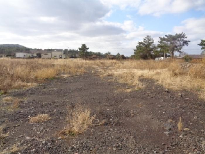 소재지 2. (협재리 400-1) 전경