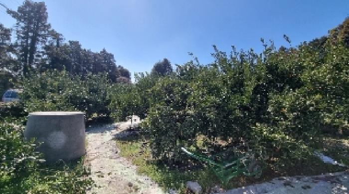 소재지1(서홍동 1735-1) 전경1