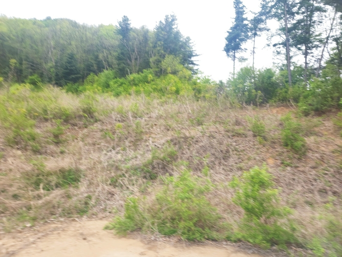 감정평가 대상물건 전경