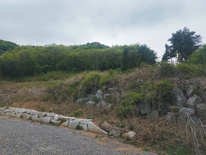 감정평가 대상물건 서측 부분 전경