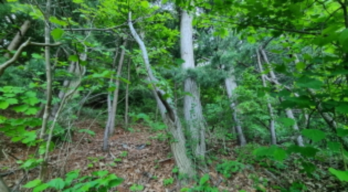 목록 18. 토지 내부