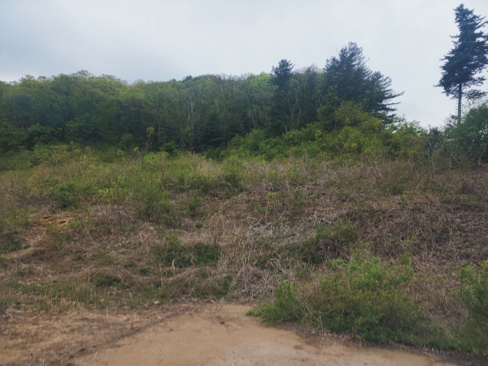 감정평가 대상물건 전경