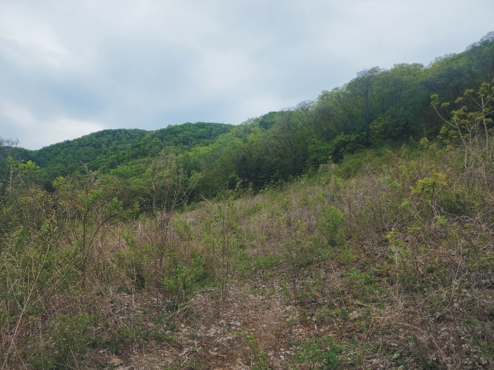 감정평가 대상물건 서측 부분 전경