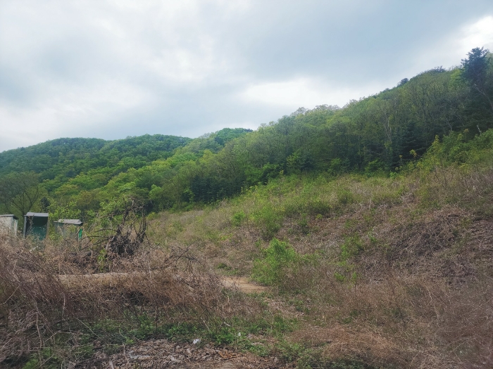 감정평가 대상물건 동측에서 촬영