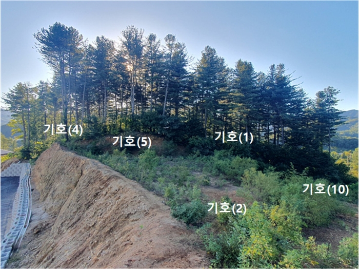 본건 전경(동측 촬영)