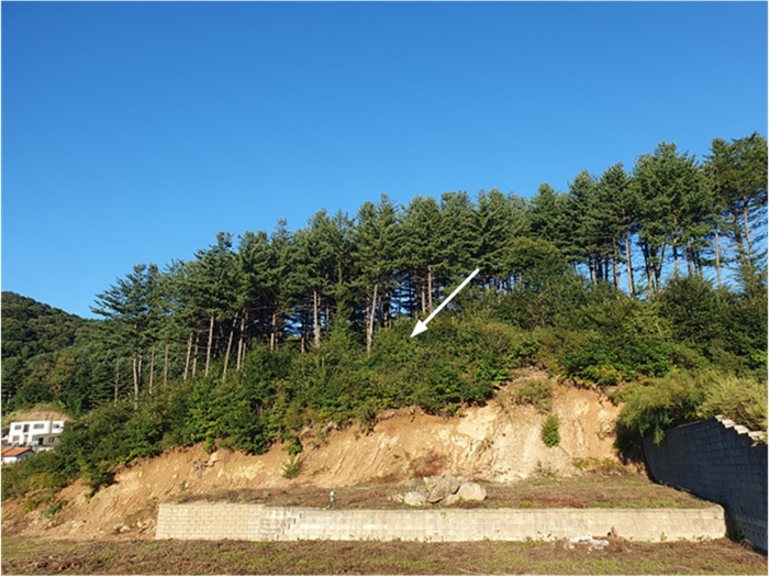 기호(1) 전경(서측 촬영)