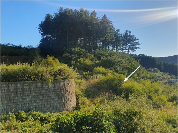 기호(3) 전경(북동측 촬영)