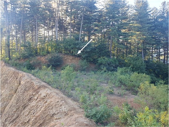 기호(5) 전경(동측 촬영)