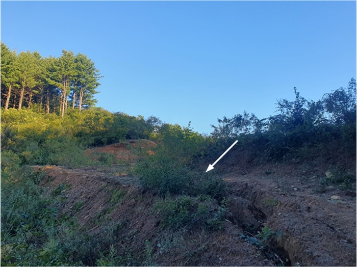 기호(10) 전경(북서측 촬영)