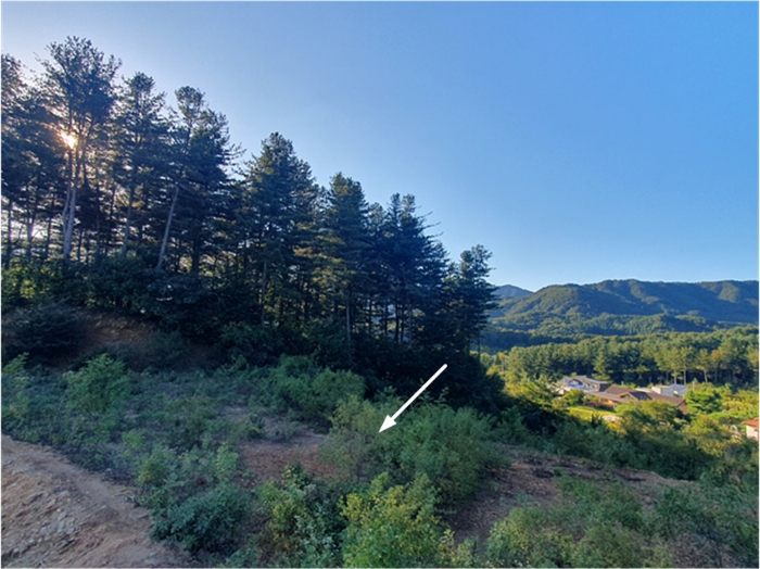 기호(2) 전경(남동측 촬영)