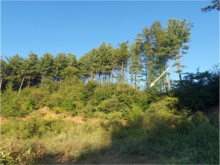 기호(4) 전경(서측 촬영)