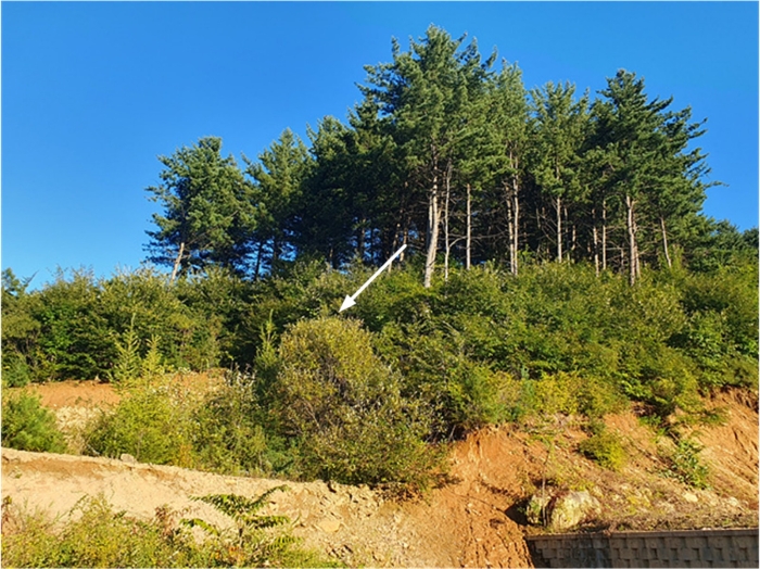 기호(6) 전경(북서측 촬영)