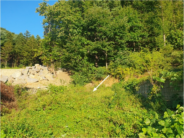 기호(11) 전경(서측 촬영)