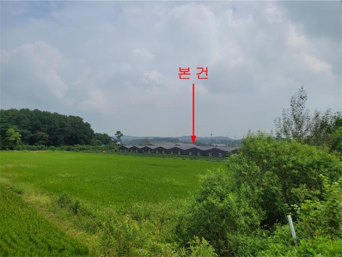 본건 및 주변전경(서측 2차선 도로변에서 촬영)