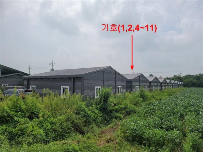 본건 지상 건물전경