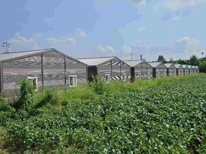 제시 목록 3  및  전체 건물 전경