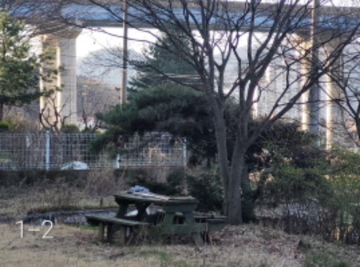 목록1 제시외 정원수