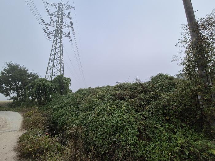 본건 전경(남서측에서 촬영)