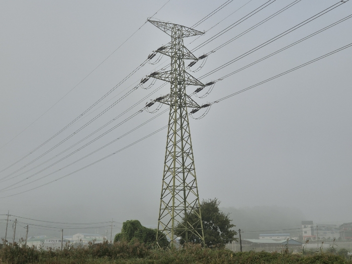 본건 지상 소재 