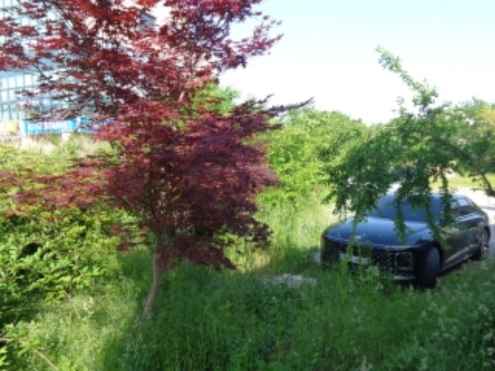 [목록 1] 북쪽에서 바라본 외곽 울타리의 모습