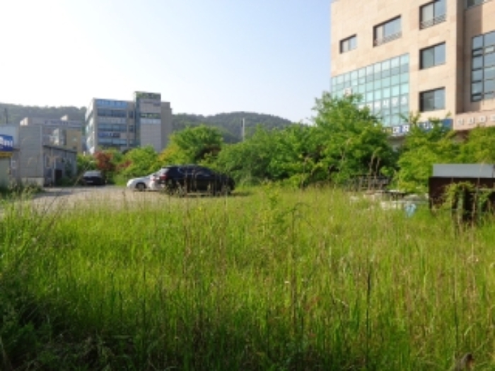 [목록 1] 남쪽에서 바라본 동쪽 지상의 모습