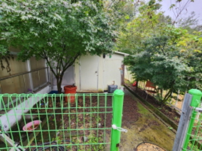 목록4 제시외 창고 모습