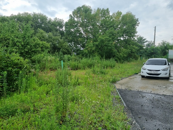 본건 기호(4,5)토지 남측에서 촬영