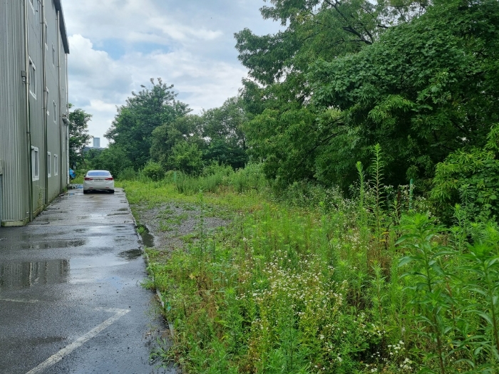 본건 기호(4,5)토지 북측에서 촬영