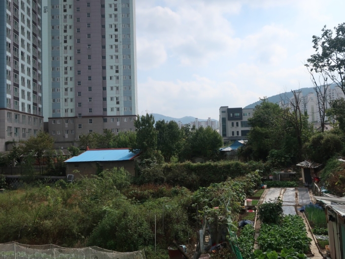 기호(2) 토지 전경(북측에서 촬영)