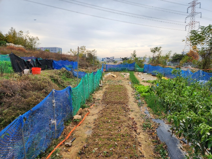 기호 3) 중 텃밭