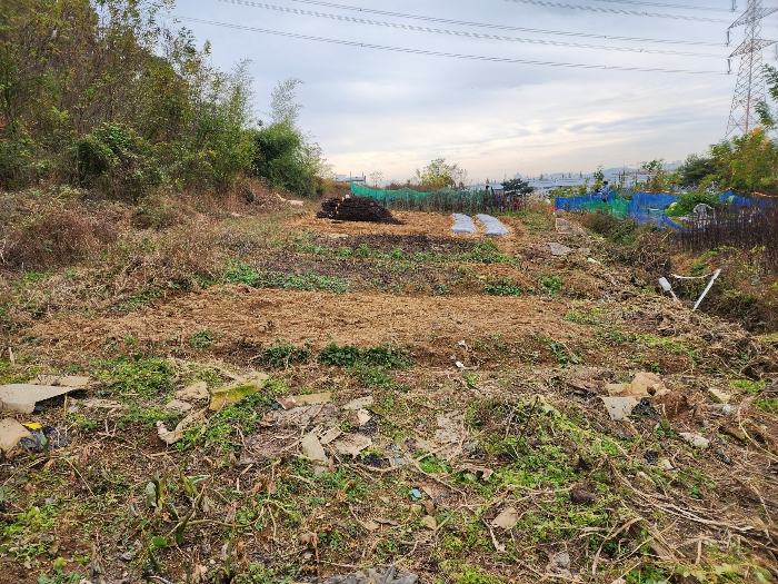 기호 7) 중 텃밭