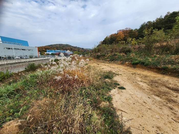 기호 1,8) 경계부근