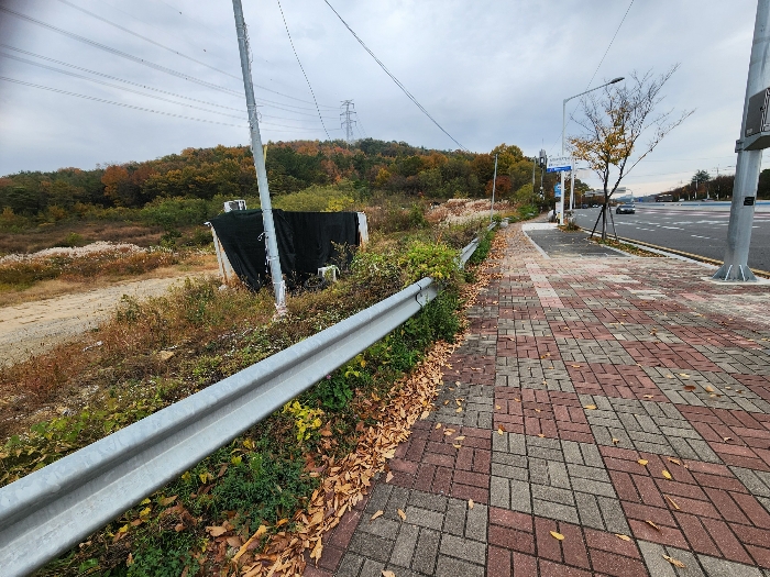 기호 5,6) 남측 도로변