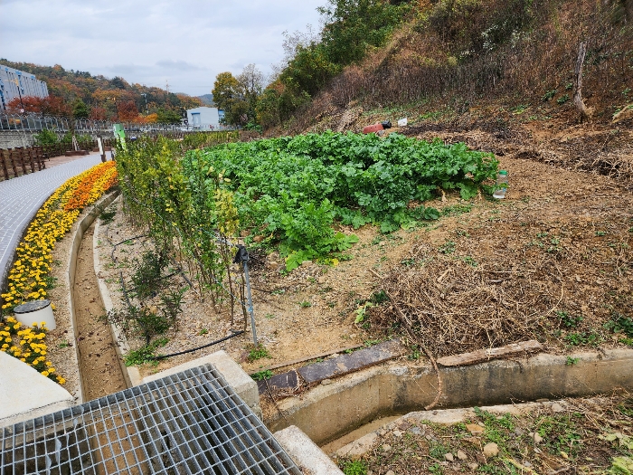 기호 7) 지상 텃밭