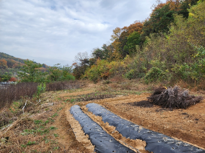 기호 8) 지상 텃밭
